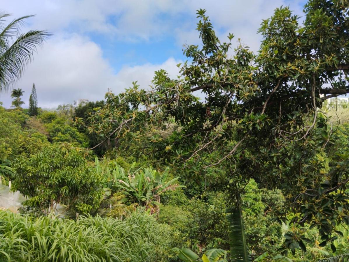 Apartamento Cercado Por Natureza E Diversao Maceio  Exterior photo